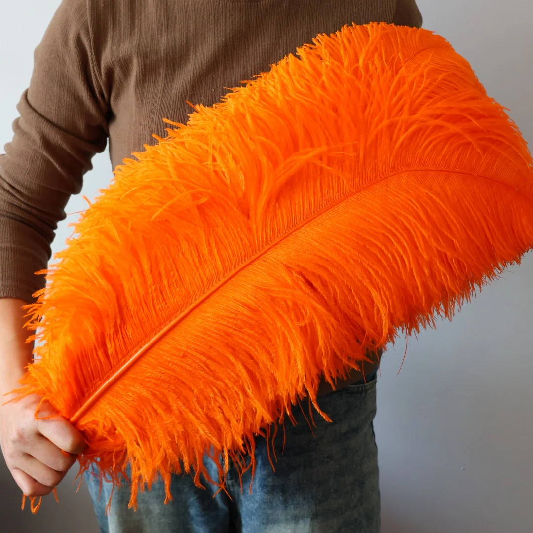 20PCS Big Orange Os… - image