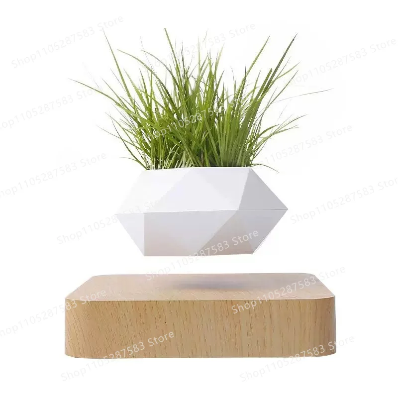 Maglev flower pot high-rise potted plant green plant desktop living room gift