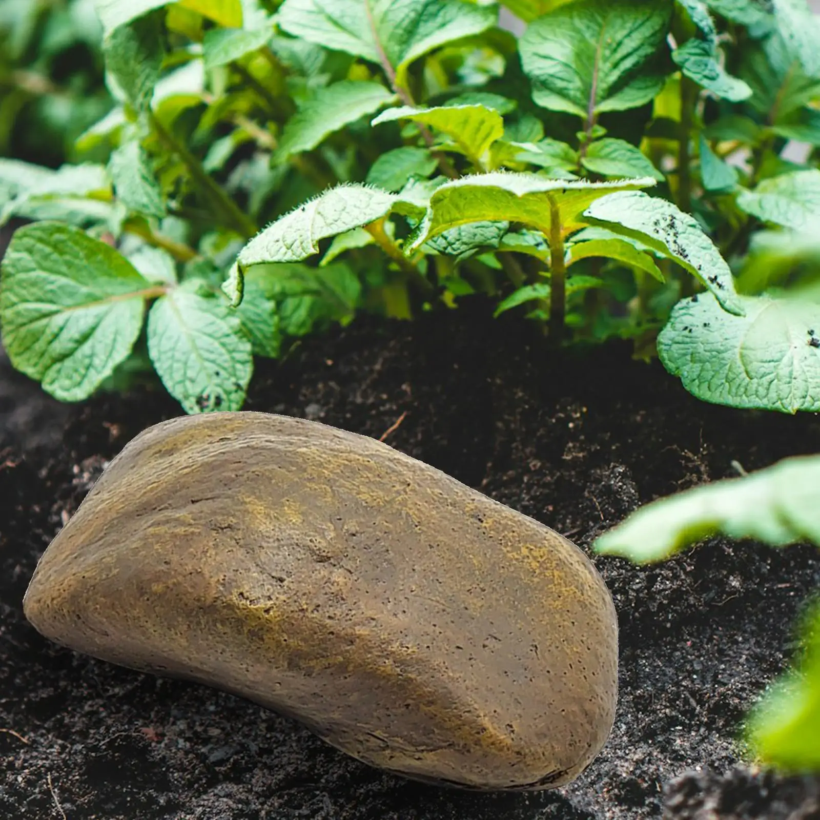 إخفاء مفتاح الغيار وهمية الصخور الراتنج حامل المفاتيح الاحتياطية لحديقة Geocaching ساحة نمط C #5