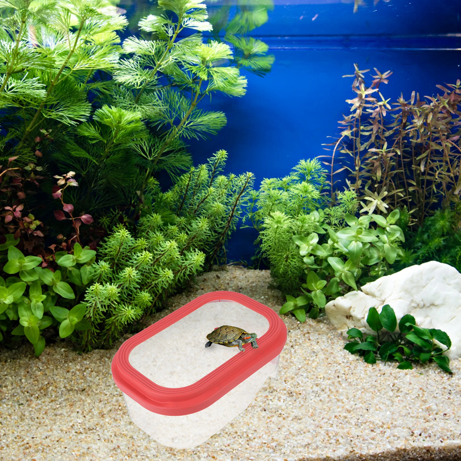 

Turtle Tank with Drying Table Baby Aquarium Aquatic Basking Platform Turtles Animal Plastic Small Pink Fish Cave