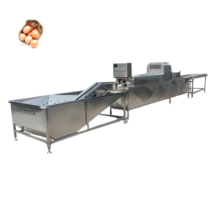 FOODLINE Small Batch Egg Washing Machine Compact Structure For Startup Egg Processing Small Business