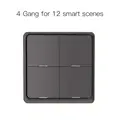 Gray Switch