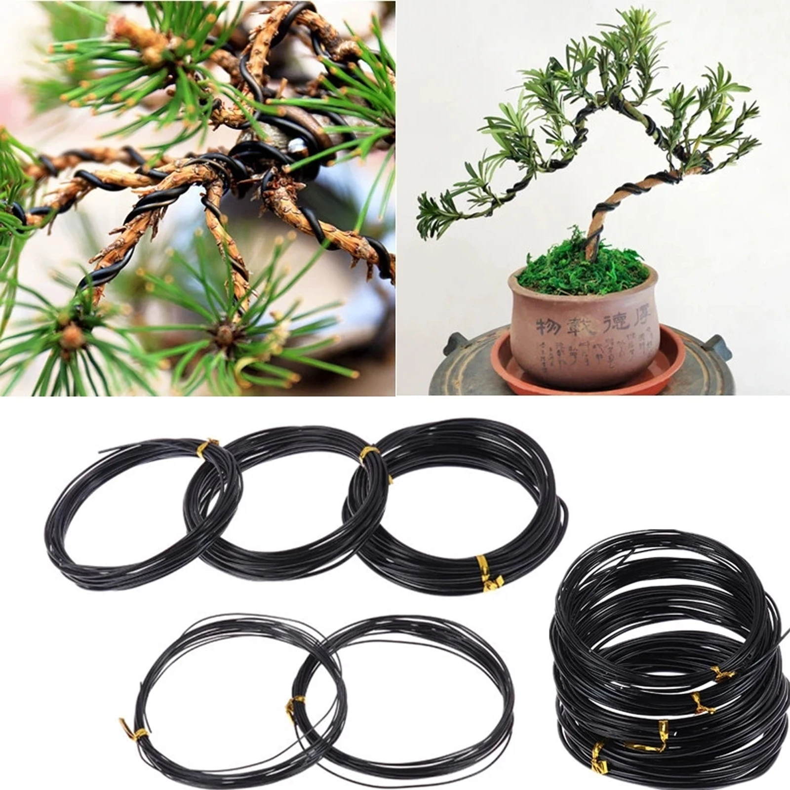 

5M Black Bonsai Wire Anodized Aluminum Bonsai Training Wire 5 Sizes 1.0mm/1.5mm/2.0mm/2.5mm/3mm For Plant DIY Shapes