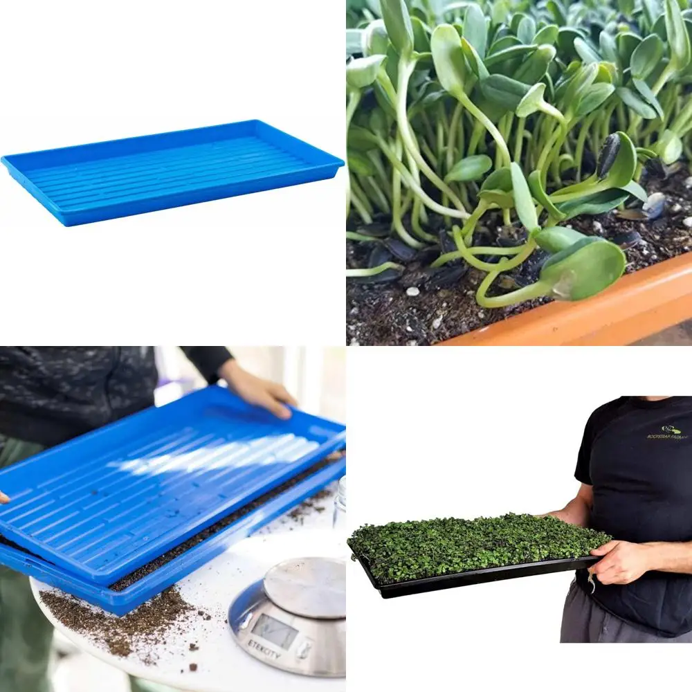 

Blue Farmer Microgreen Growing Trays, 10-Count, No Drainage Holes