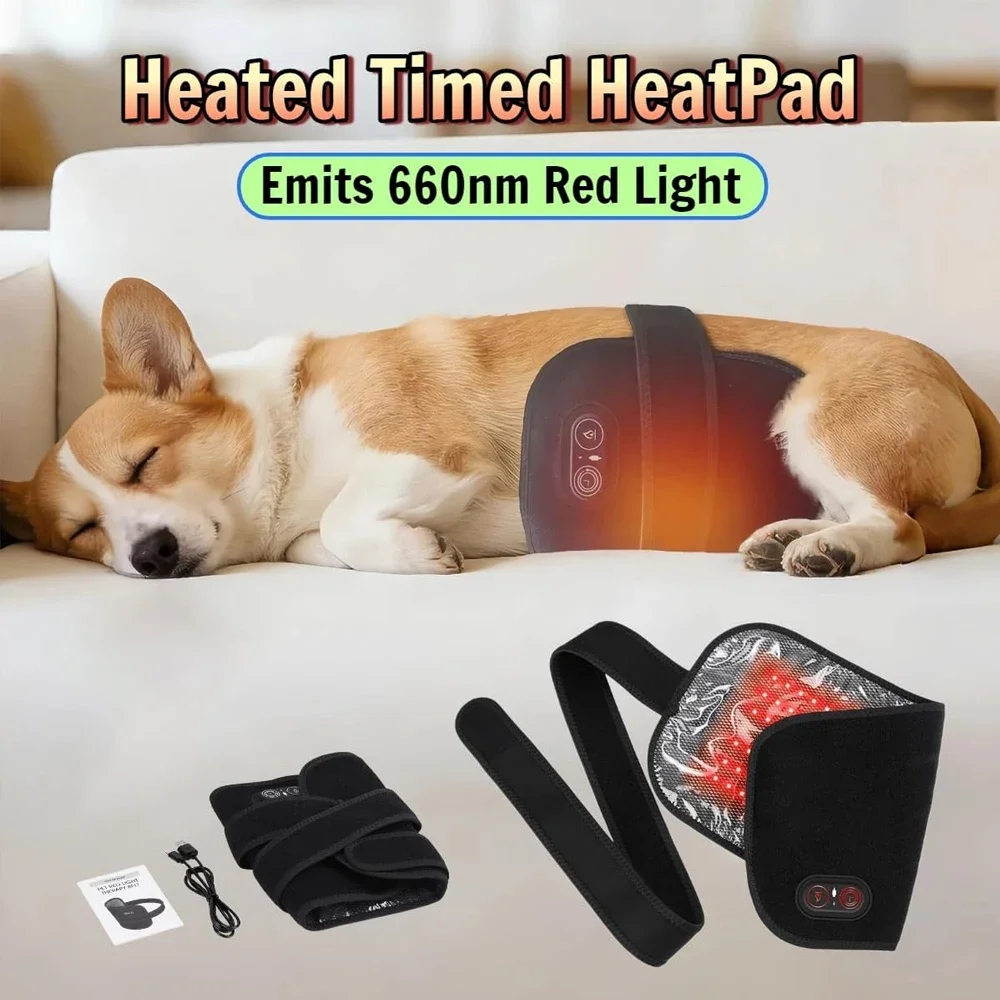 Veterinary Use Red Light LED Therapy Physiotherapy Equipment for Pets Dog Cat Pain Relief Pain Reduce Rechargeable Easy To Clean