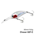CCCC--DW88