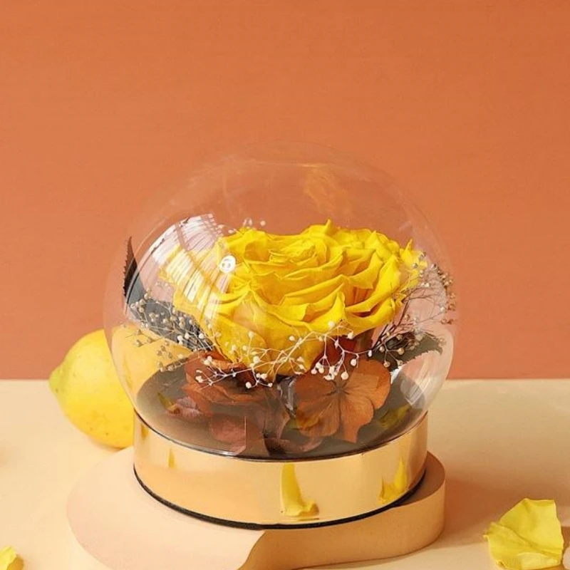FS 2sets/pack Round Glass Dome Vase Luminous EVA Metal Base Cover DIY Friend Favor Gift Diameter=12cm 13cm 16.5cm