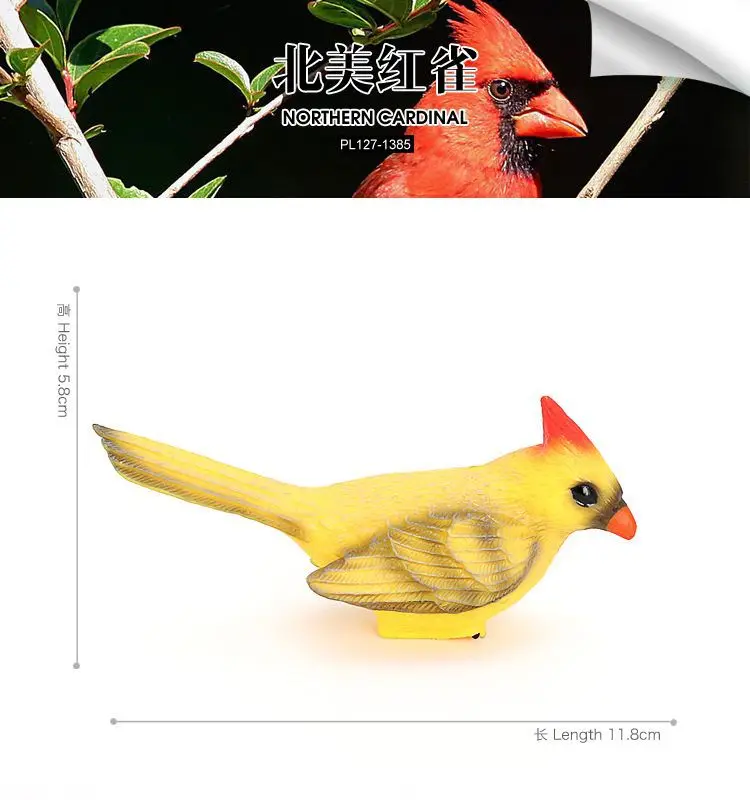 نموذج حيوان محاكاة للأطفال عبر الحدود، طائر، طائر، كاردينال أمريكا الشمالية، لعبة أطفال من البلاستيك الصلب، زخرفة على شكل شخصية