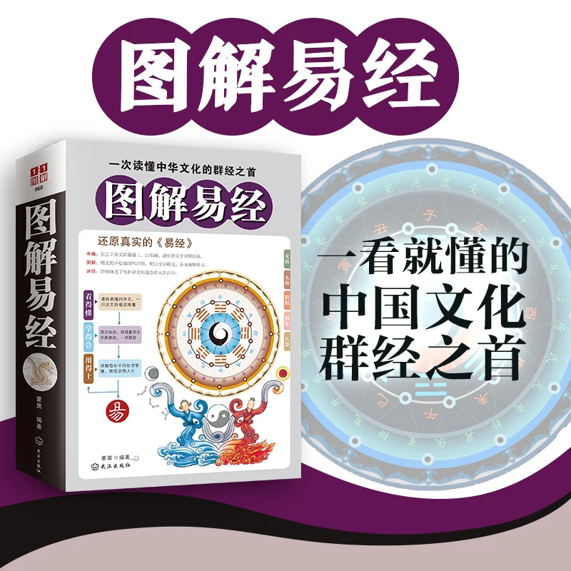 Network Illustrated Book of Changes Gao Yongping Vernacular Illustrated Edition Philosophy Religion The Wisdom of the Book of Ch