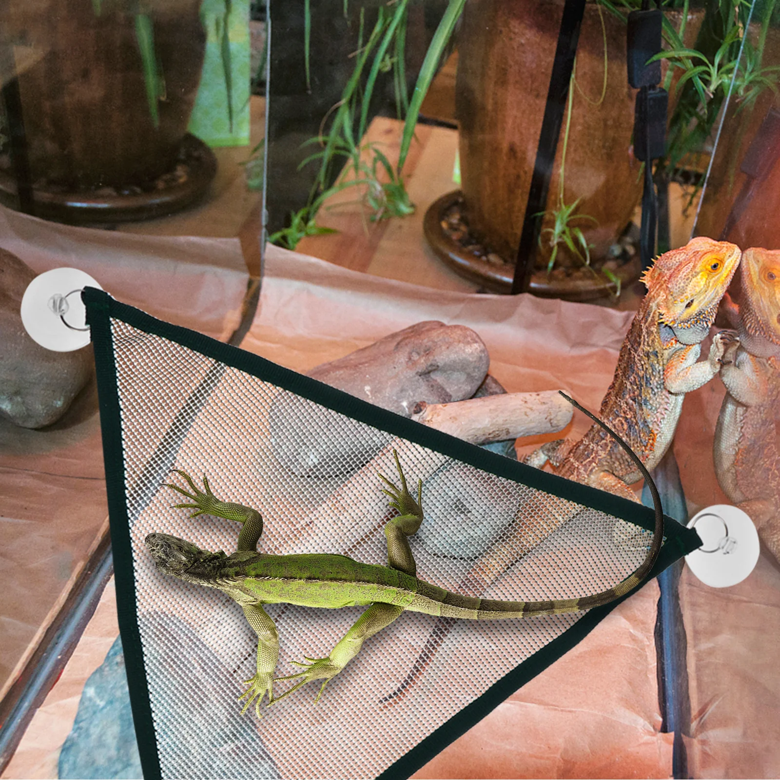 

2Pcs Pet Hammock Reptile Mesh Hammock Lounger Triangular Hanging Bed for Bearded Dragon Geckos Lizard Hanging Bed