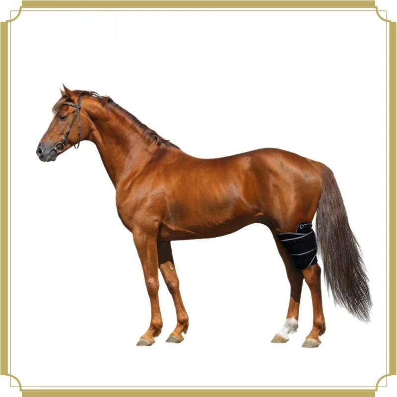 Medium Size 5W Red Photon Equine Light Soothing Wrap Band Auxiliary Horse Leg & Back Health Care Accessory for Stable Daily Use