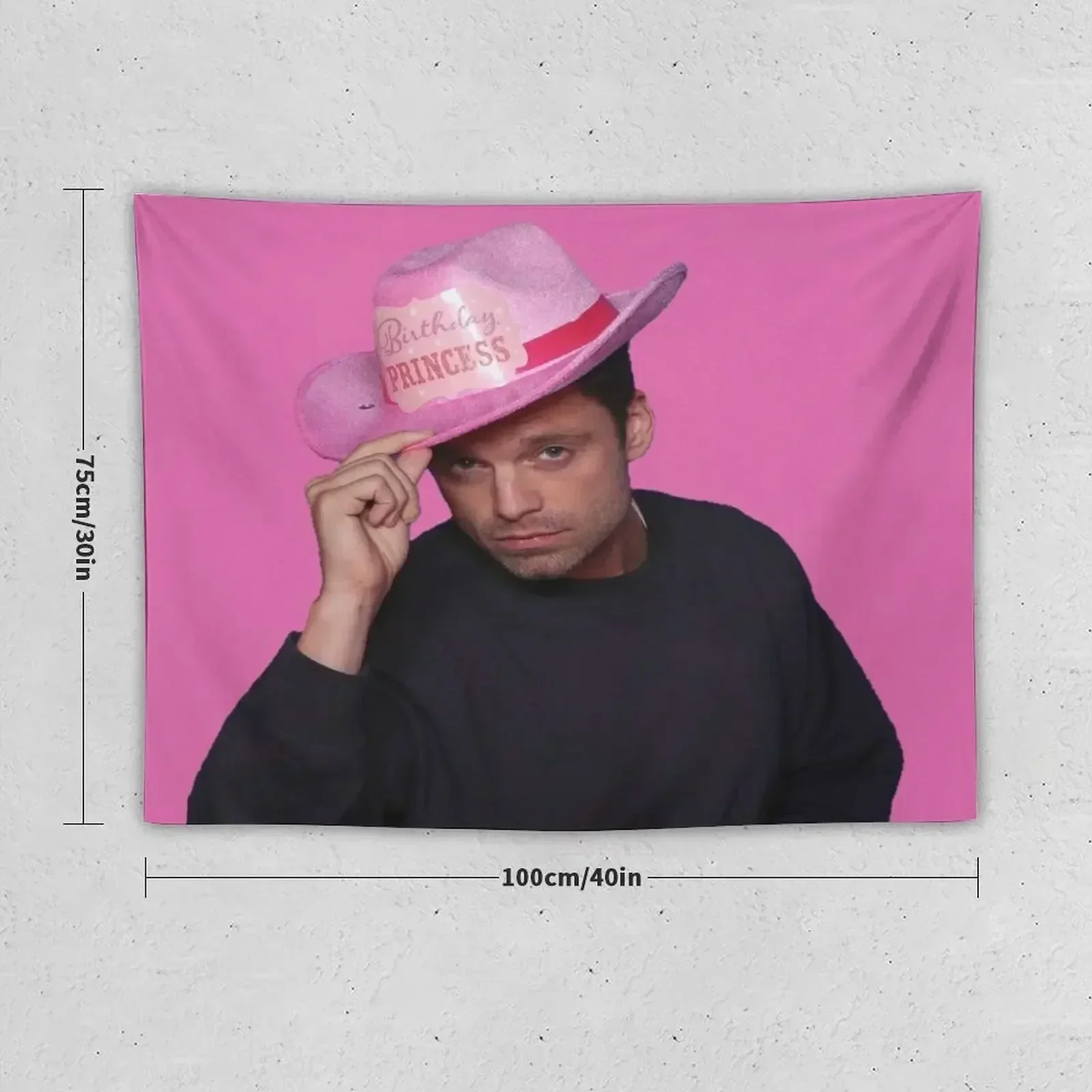 Yes Haw! Sebastian Stan with pink Birthday Princess Cowboy Hat Tapestry On The Wall Bedrooms Decorations Tapestry