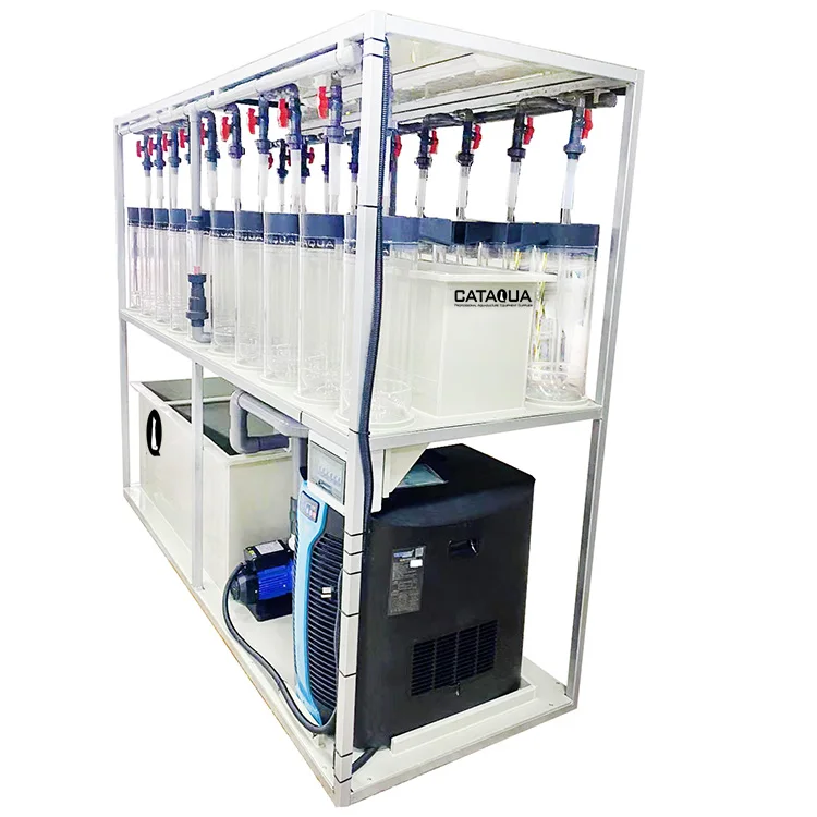 Equipo de incubación de peces transparente a la venta Incubadora superior de incubadora de peces Tilapia para peces