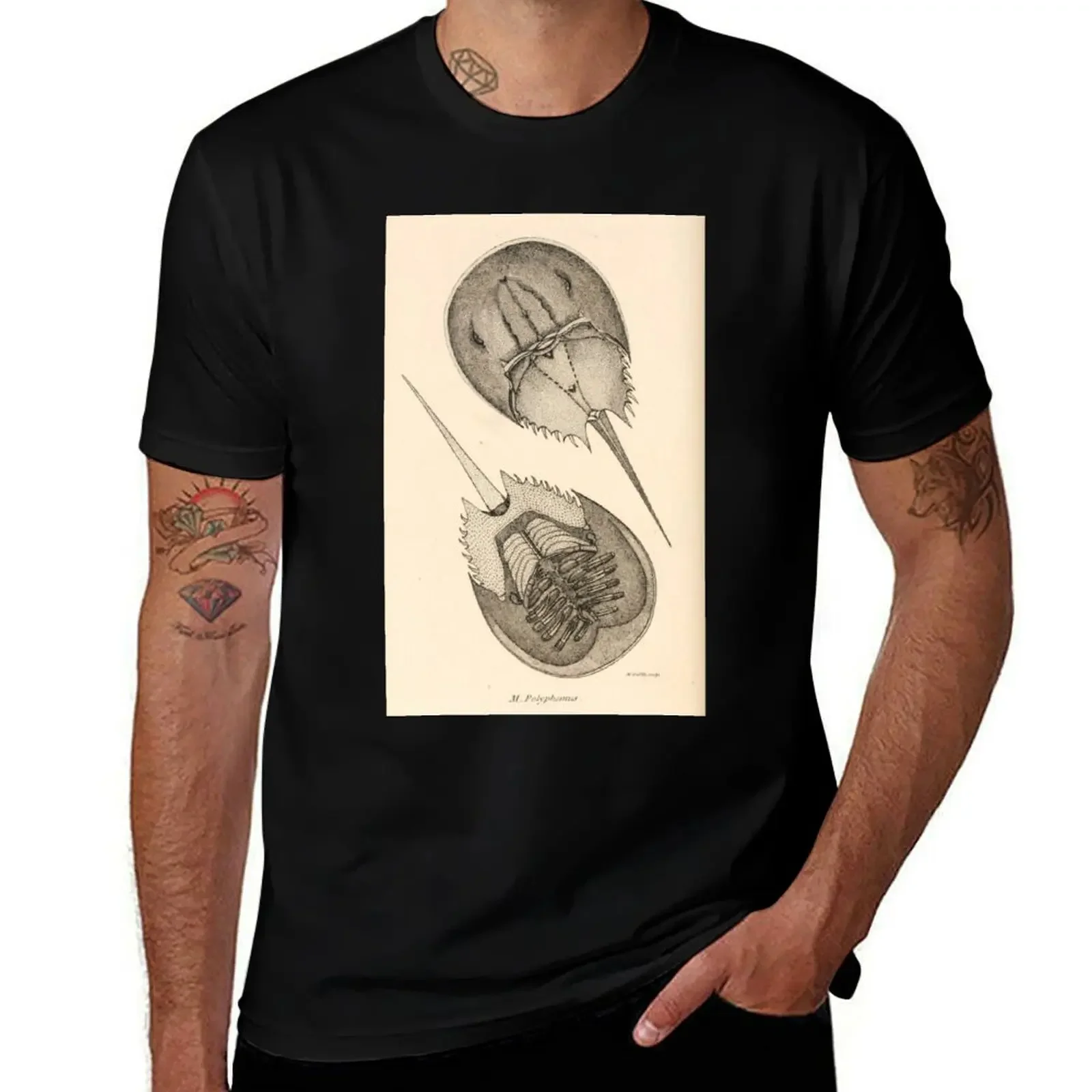 

Horseshoe Crabs T-Shirt hippie clothes blacks cotton graphic tees designer t shirt men