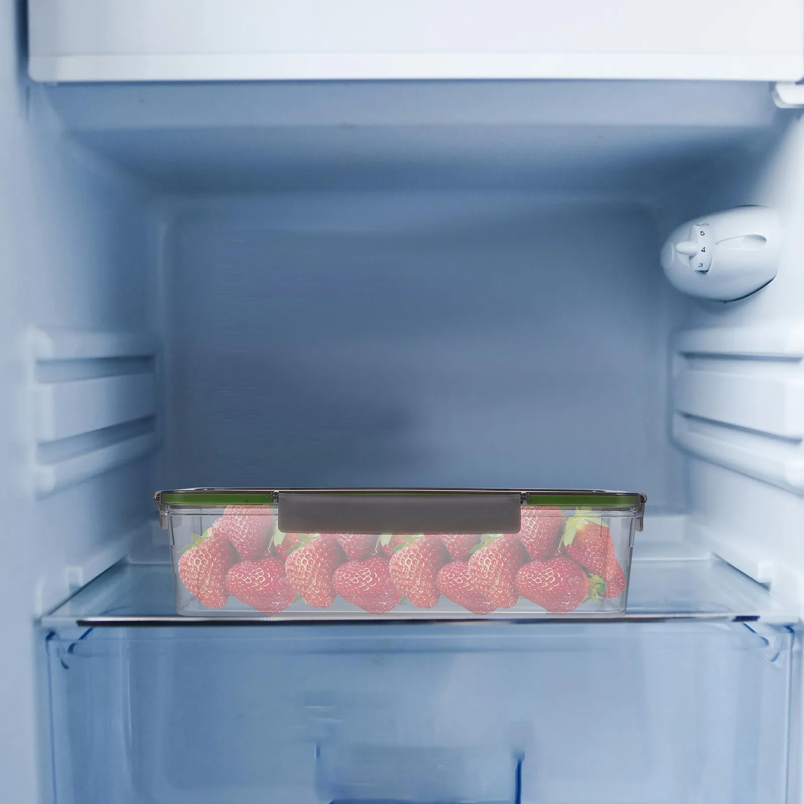 Cake Roll Packaging Box Fresh-Keeping Box Food Storage Container Bread Storage Holder Airtight Seal Refrigerator