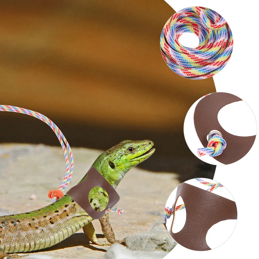 

Комплект из 2 поводков для рептилий: регулируемые, надежные, легкие, дышащие шлейки для ящериц и гекконов, для прогулок на улице с мелкими питомцами