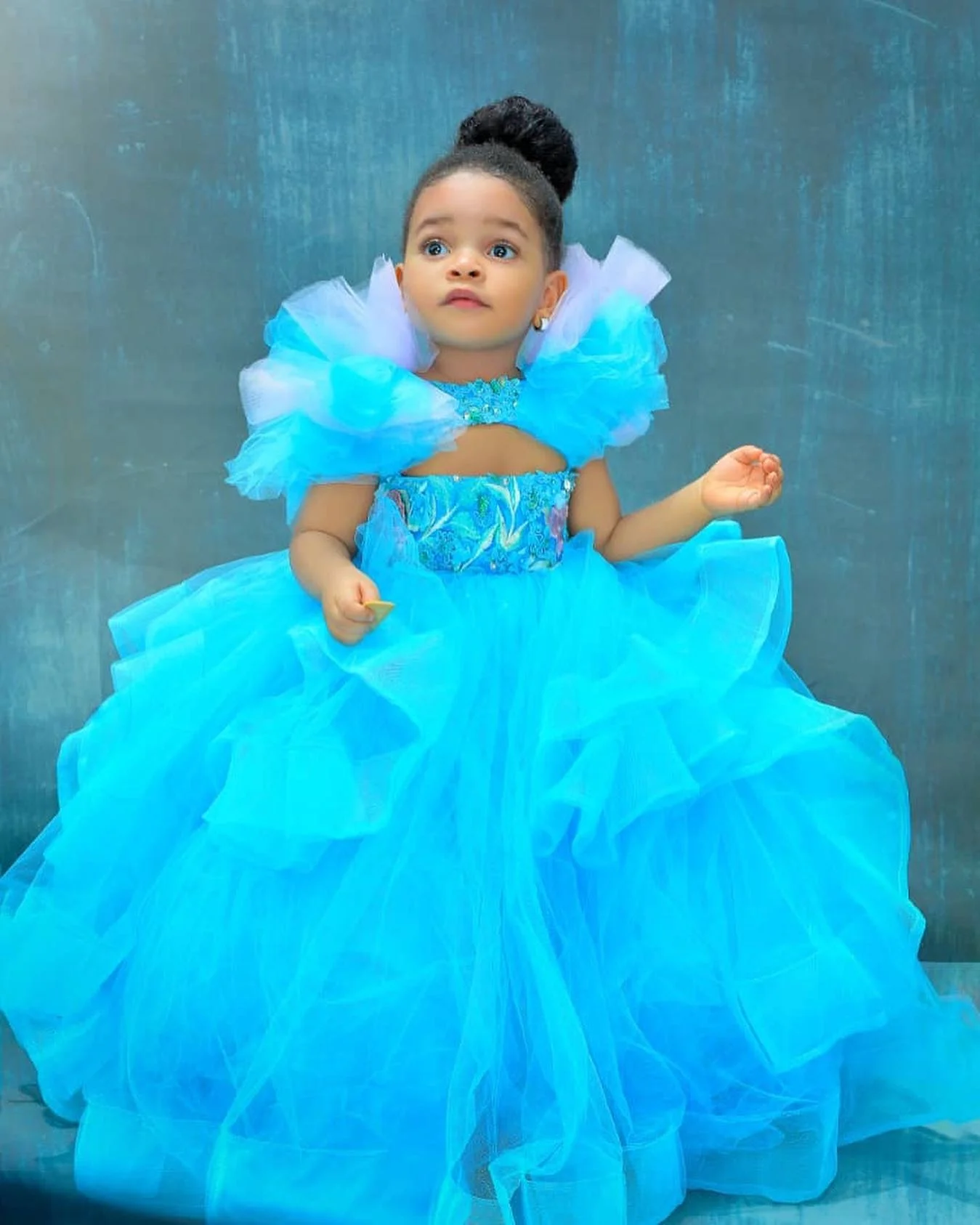 Blue Princess Flower Girl Dresses Ball Gown Tulle Ruffles Appliqued Little Princess Christmas Pageant Birthday Dresses