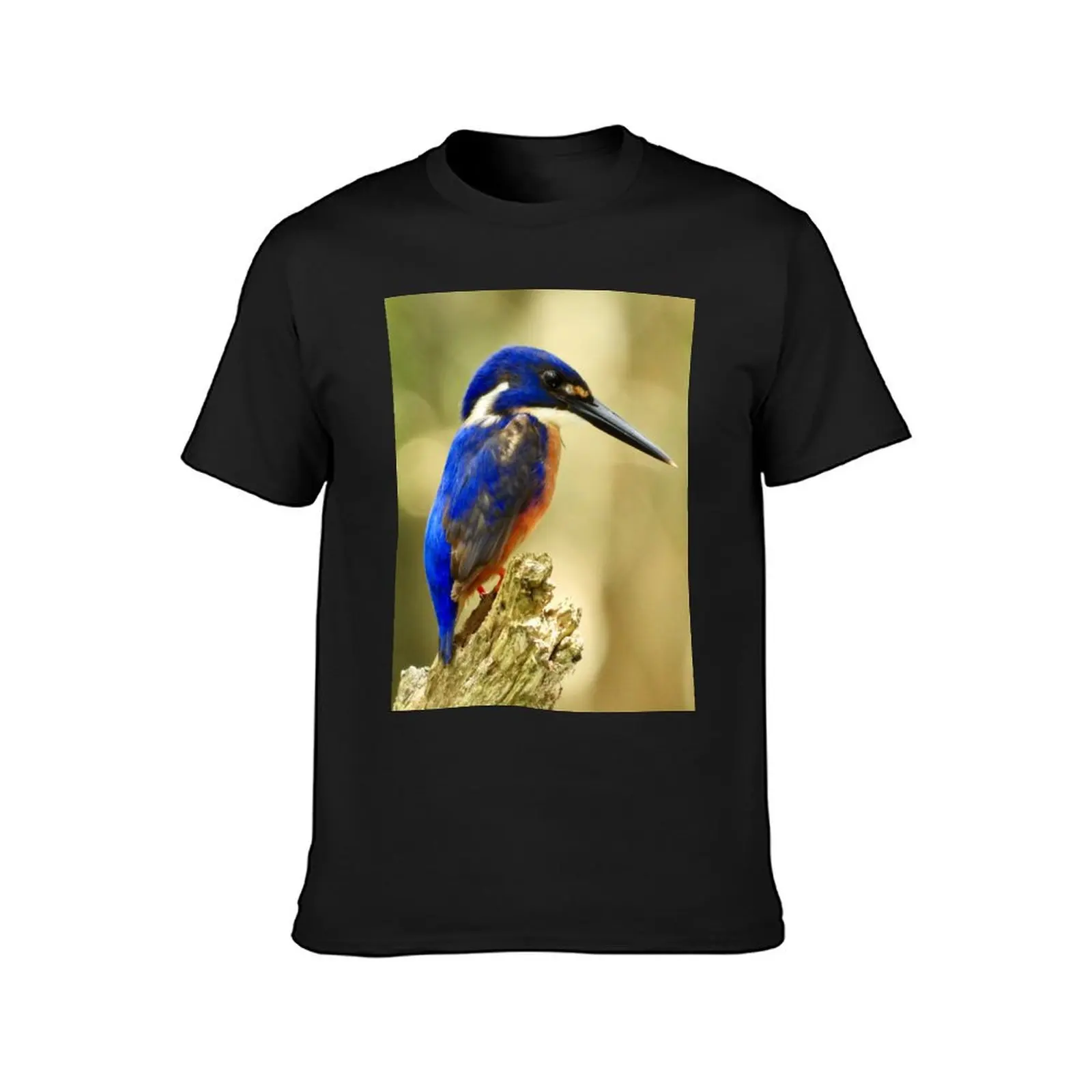 Azure kingfisher looking for food T-Shirt funnys blanks plain Men's t shirts