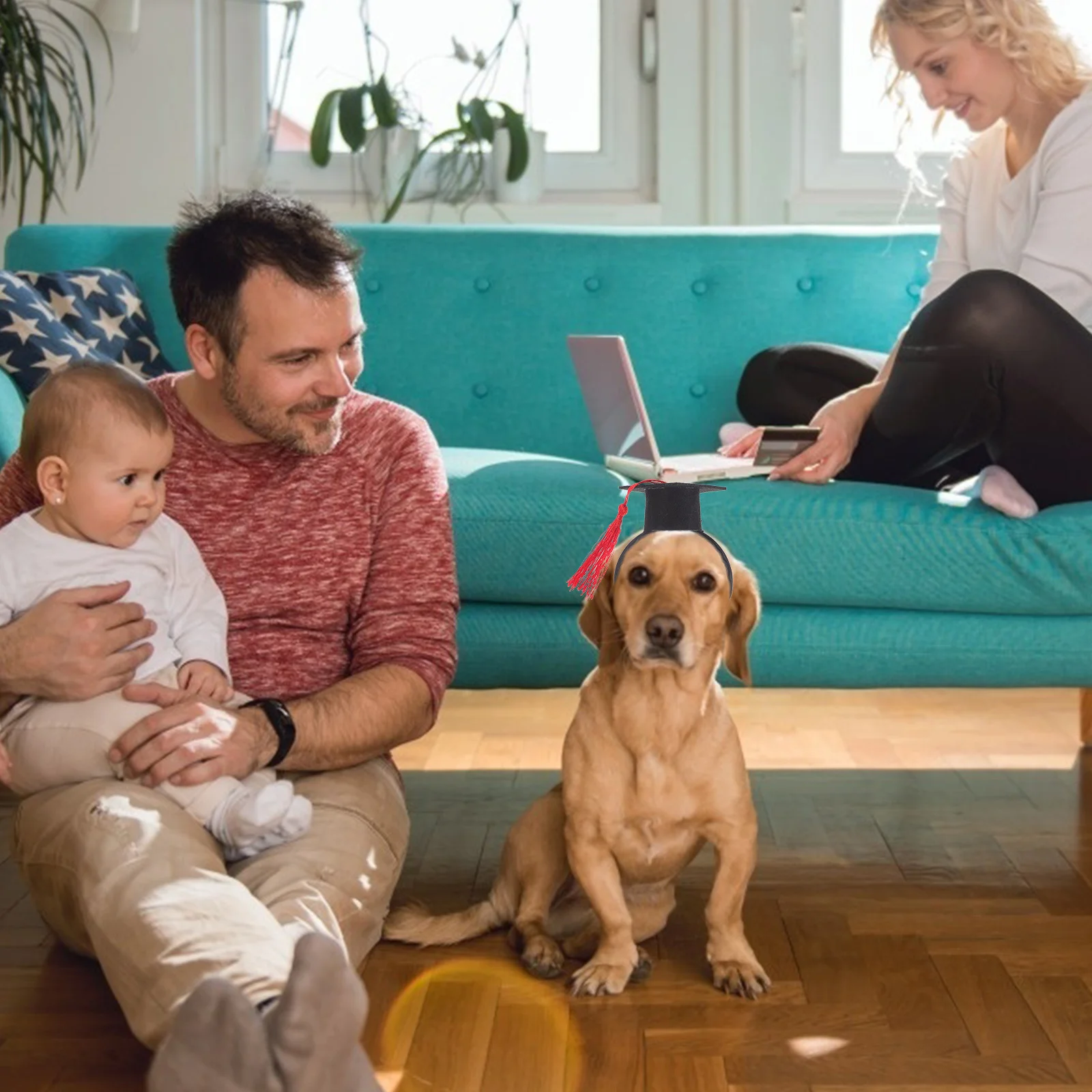 

Pet Graduation Cap Headband for Cats and Dogs Funny Scholar Hat Design Comfortable Lightweight Ideal for Parties Birthdays Pet