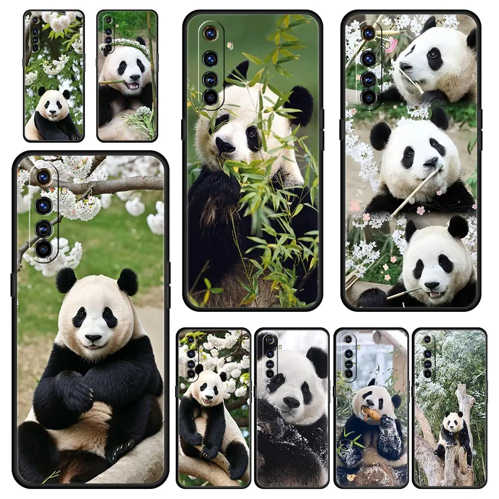 For Realme GT Neo 2 3 3T 5 Phone Case For Realme 12 11 5G 10 9 8 5G 7 6 GT5 GT3 GT2 Pro Plus C21 C11 C25 C35 Cover Fubao panda