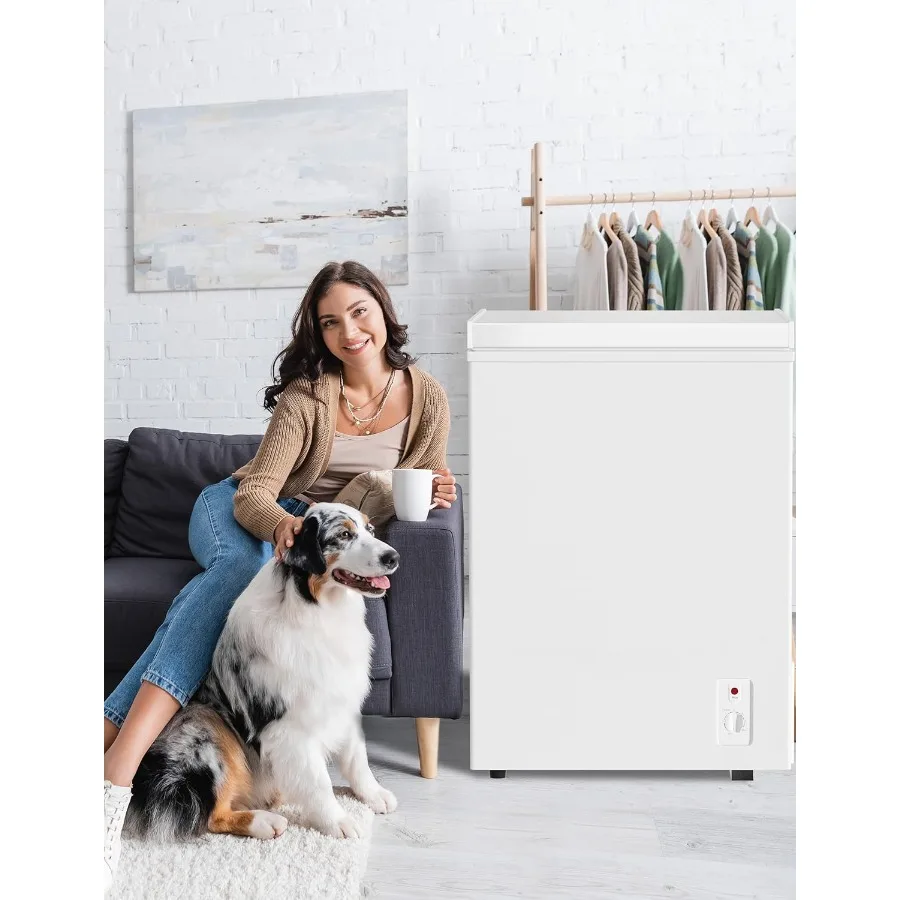 Ultra Quiet Deep Freezer 5.0 Cu Ft Compact Chest Freezer with Fast Freeze Performance Low Power Consumption in Silver