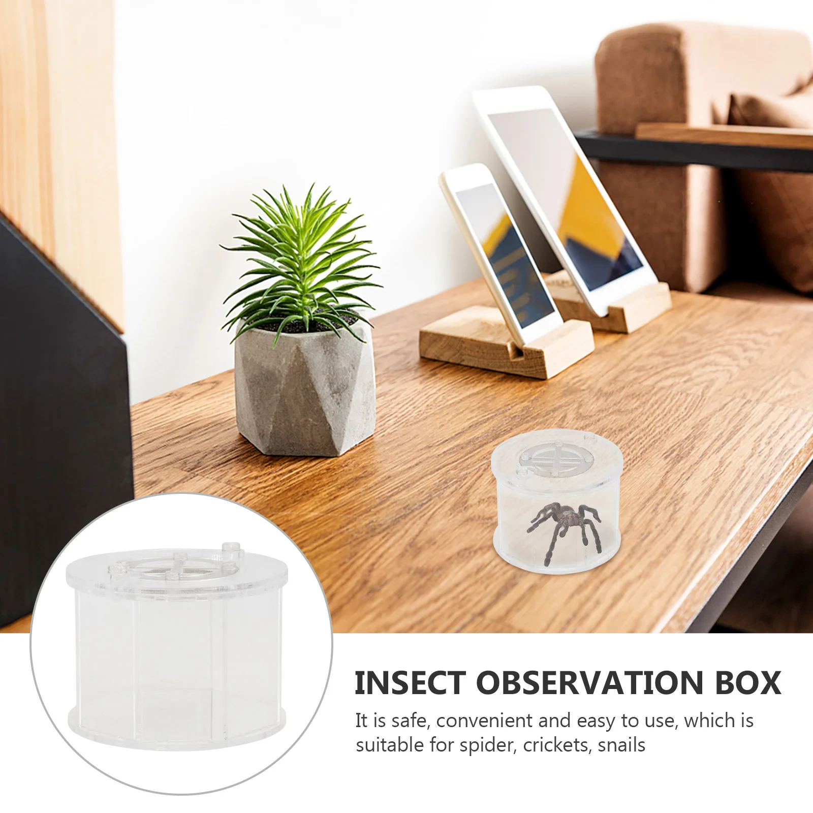 

Octahedral Observation Box For Reptile Feeding Breeding Spider Insect Cage With Ventilation Holes Safety Lock Compact Design Pet