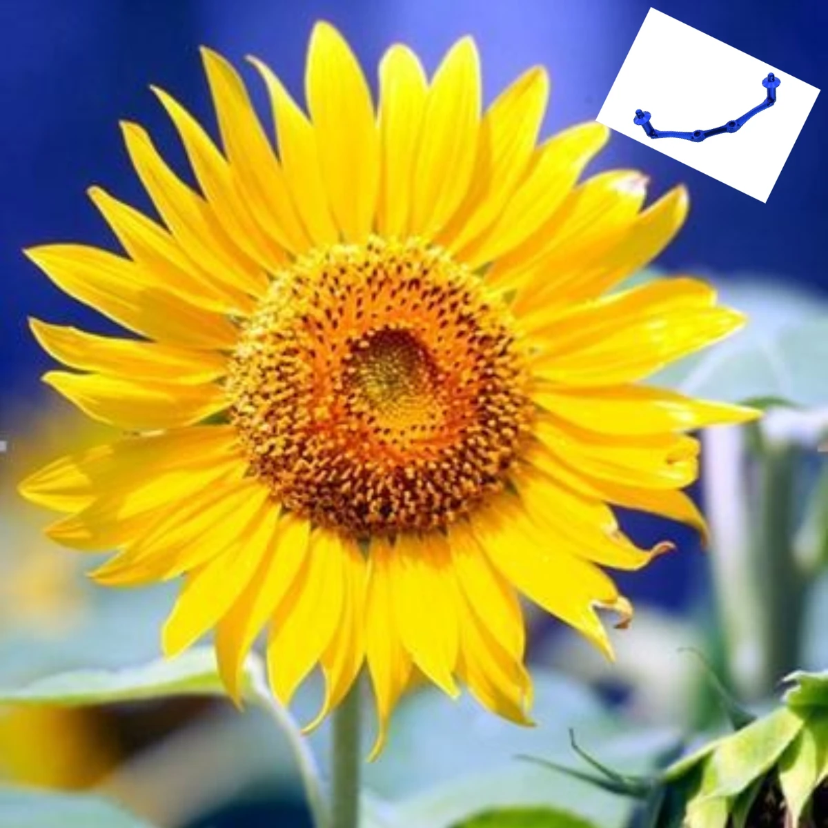 

GPM Alloy Body Posts Mount With Posts For TRAXXAS 1/10 Slash 4X4 Stampede 6708