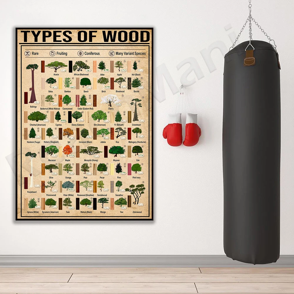 Type 52 Plant Tree Knowledge Canvas Printed Poster
