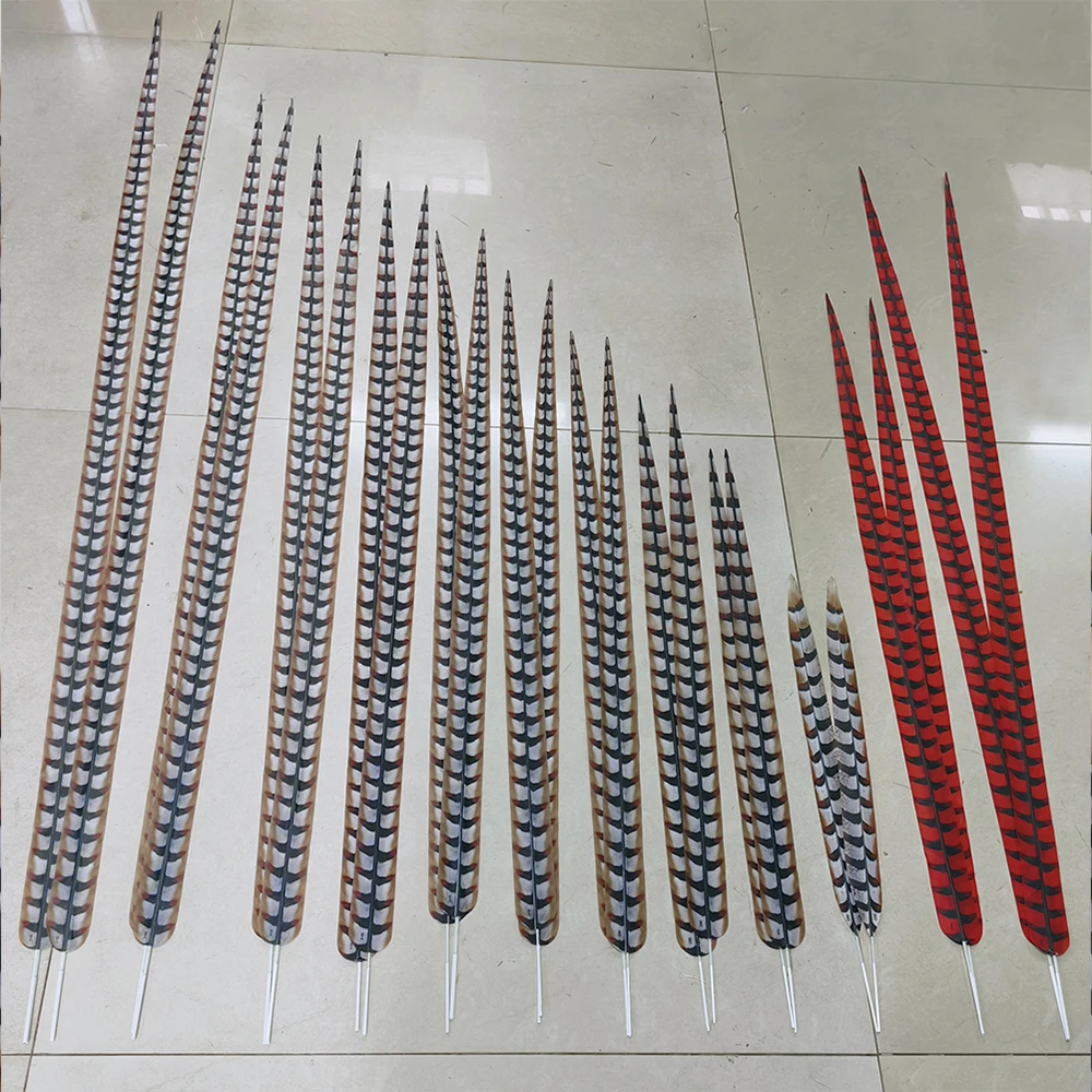 

Wholesale Artificial Pheasant Feather/Fake Feather 20-64" Decoration Feather For Carinival /Samba /Burlesque/Party 10-100pcs