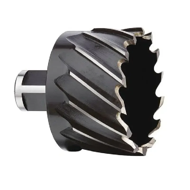 

2" x 1" Annular Cutter