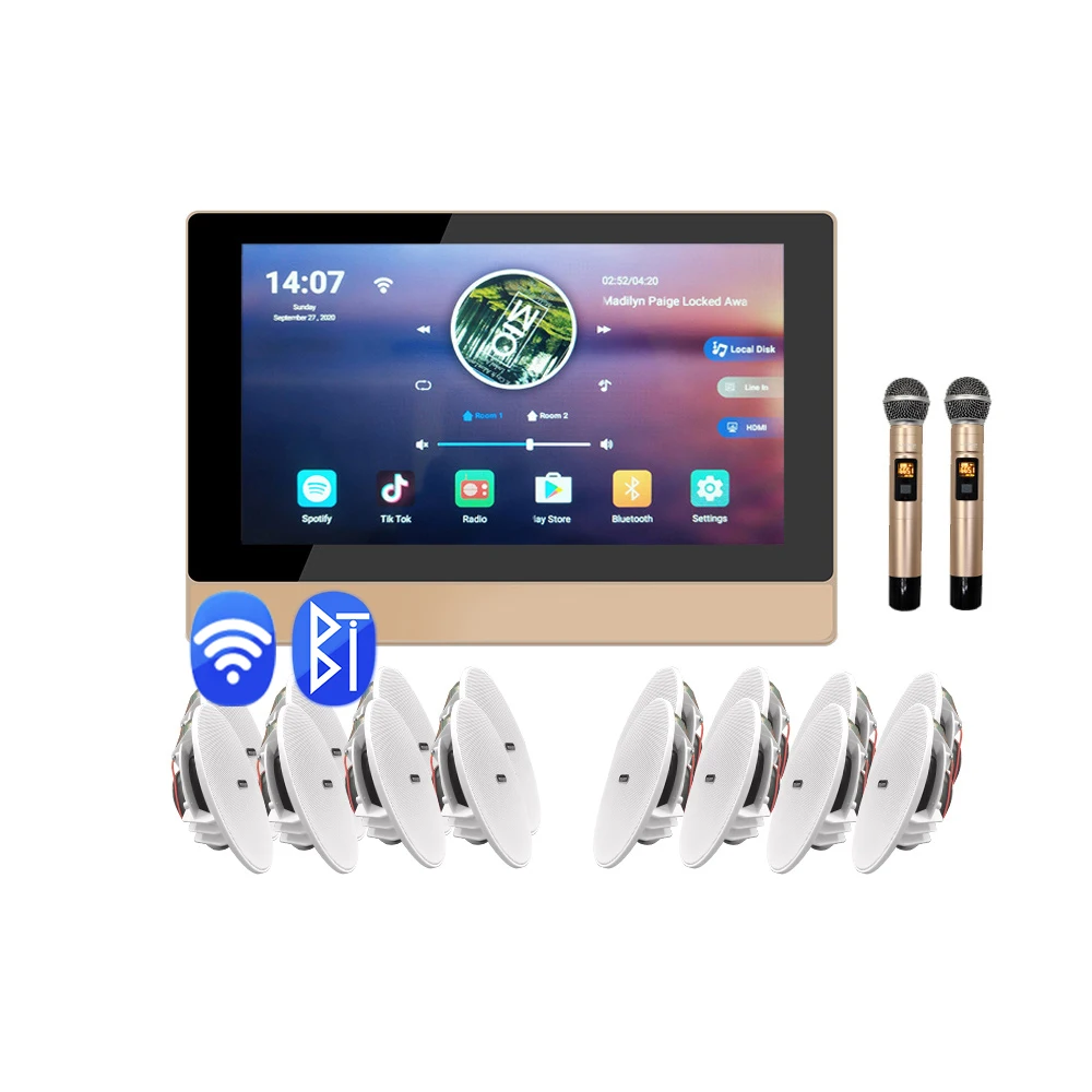 Smart Android 8.1 WiFi Multiroom Audio System Wall Mount Amplifier Karaoke System Combo With Speaker