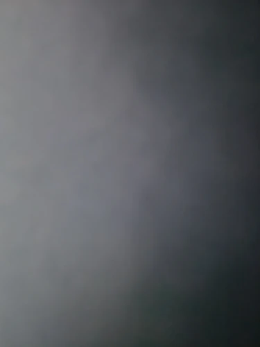 실물 포토 리뷰