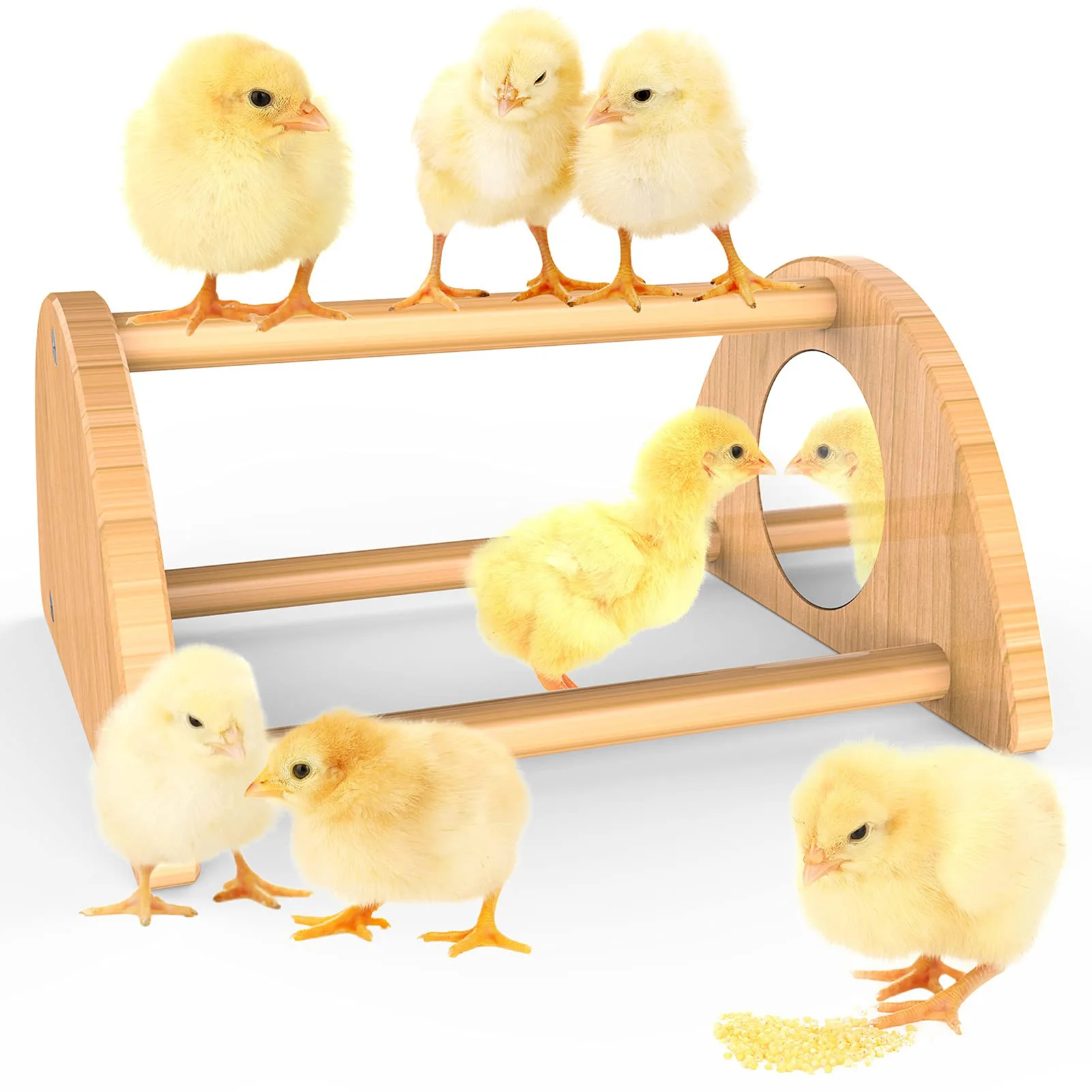 and Brooder Chicken Stand Toy Convenient Easy Cleaning Chick Shelf for Farms Hens Baby Chicks