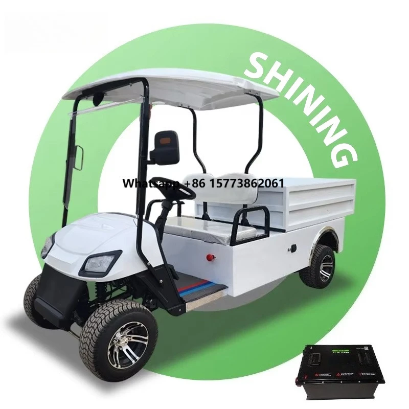 Customized Pickup Truck Aluminum Cargo Bed 2 Seater Utility Carts Automatic Hydraulic Rod Dump Truck Golf Cart with Cargo Box