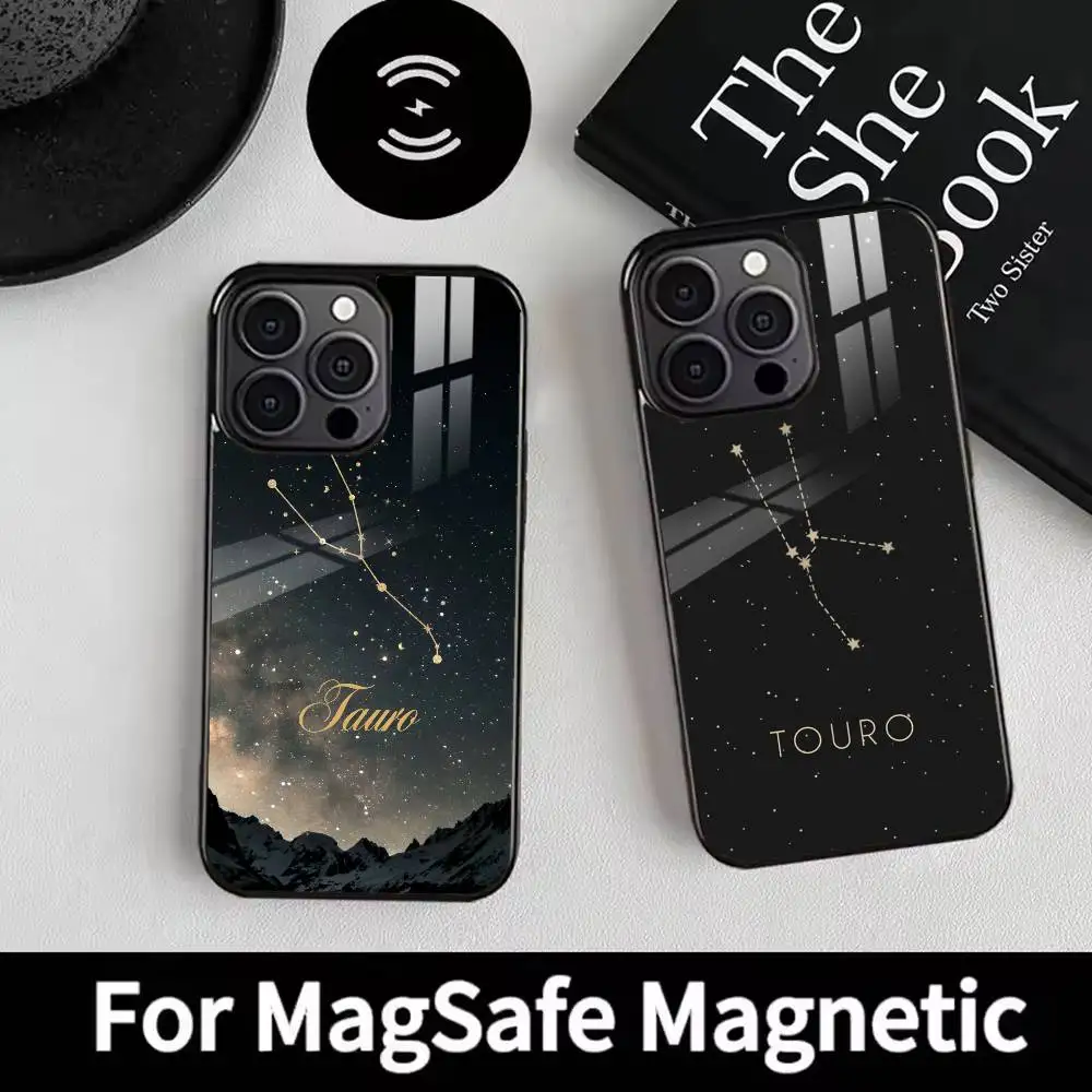 

tauro Phone Case For iPhone 17 16 15 14 13 12 Pro Max Plus for Magsafe Mirror Wireless Magnetic Cover