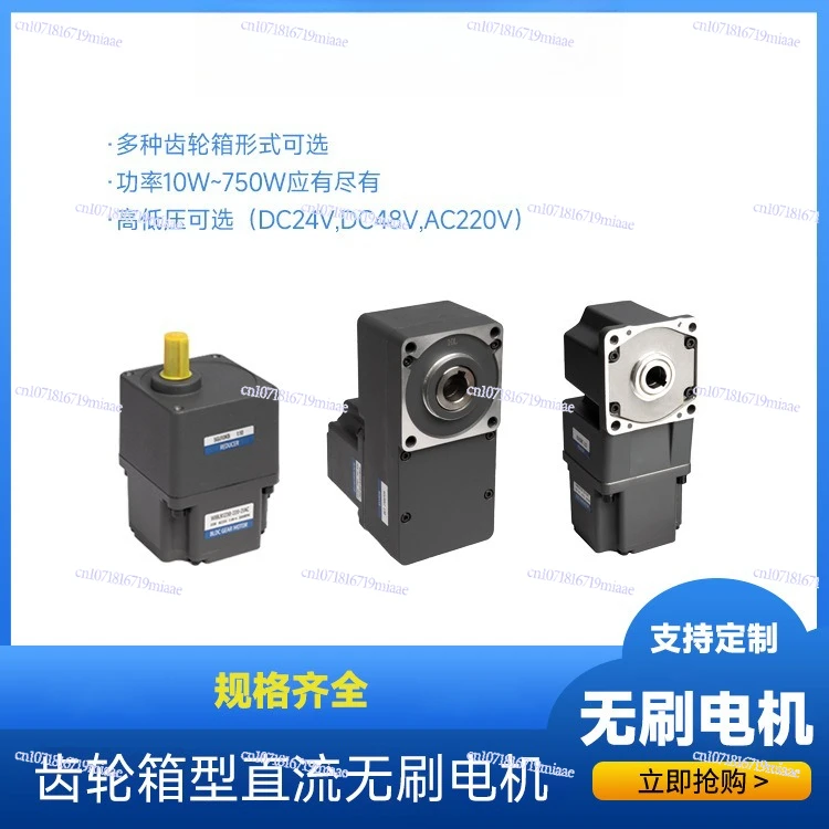 60W Brushless Motor 120w Low Speed Torque 200w Mixer 400w Conveyor 750w Motor Machinery