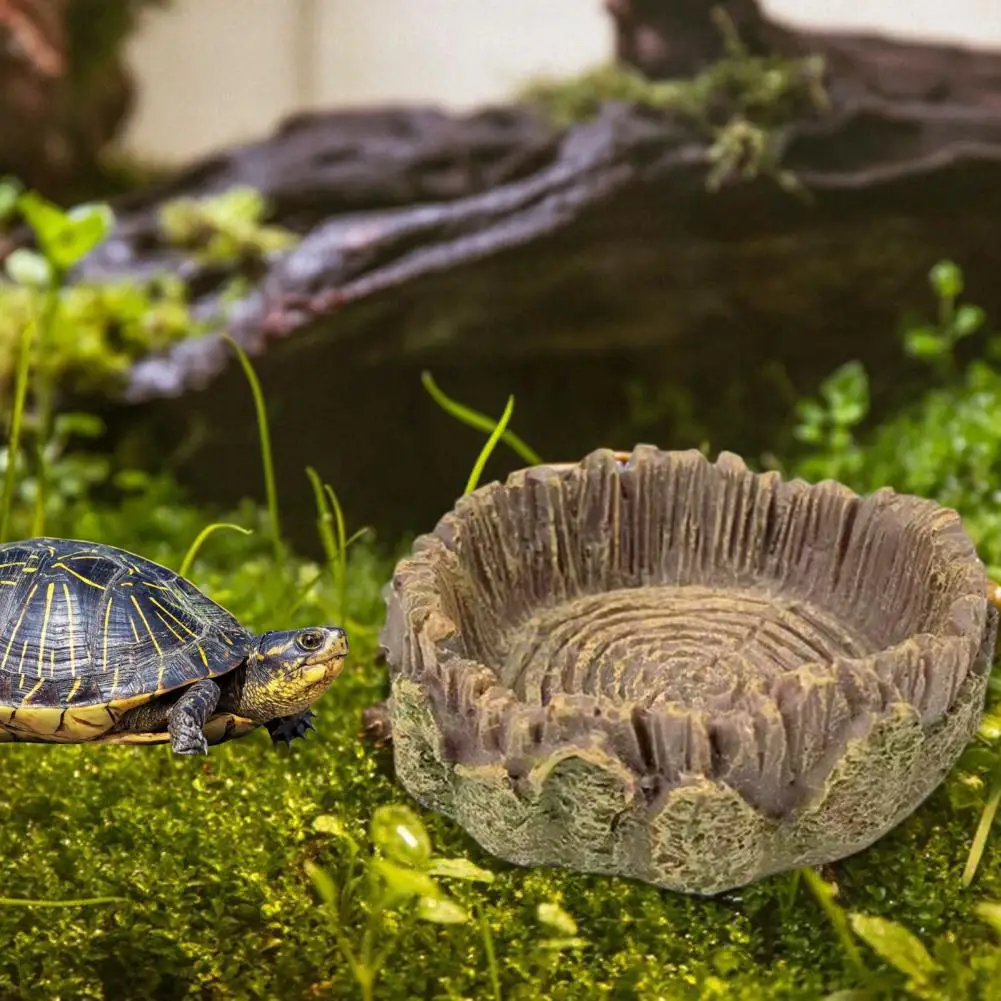

Food Water Bowls for High-quality Food Water Bowls Versatile Accessories Stump Ring Feeding Bowls Aquascape for Lizards