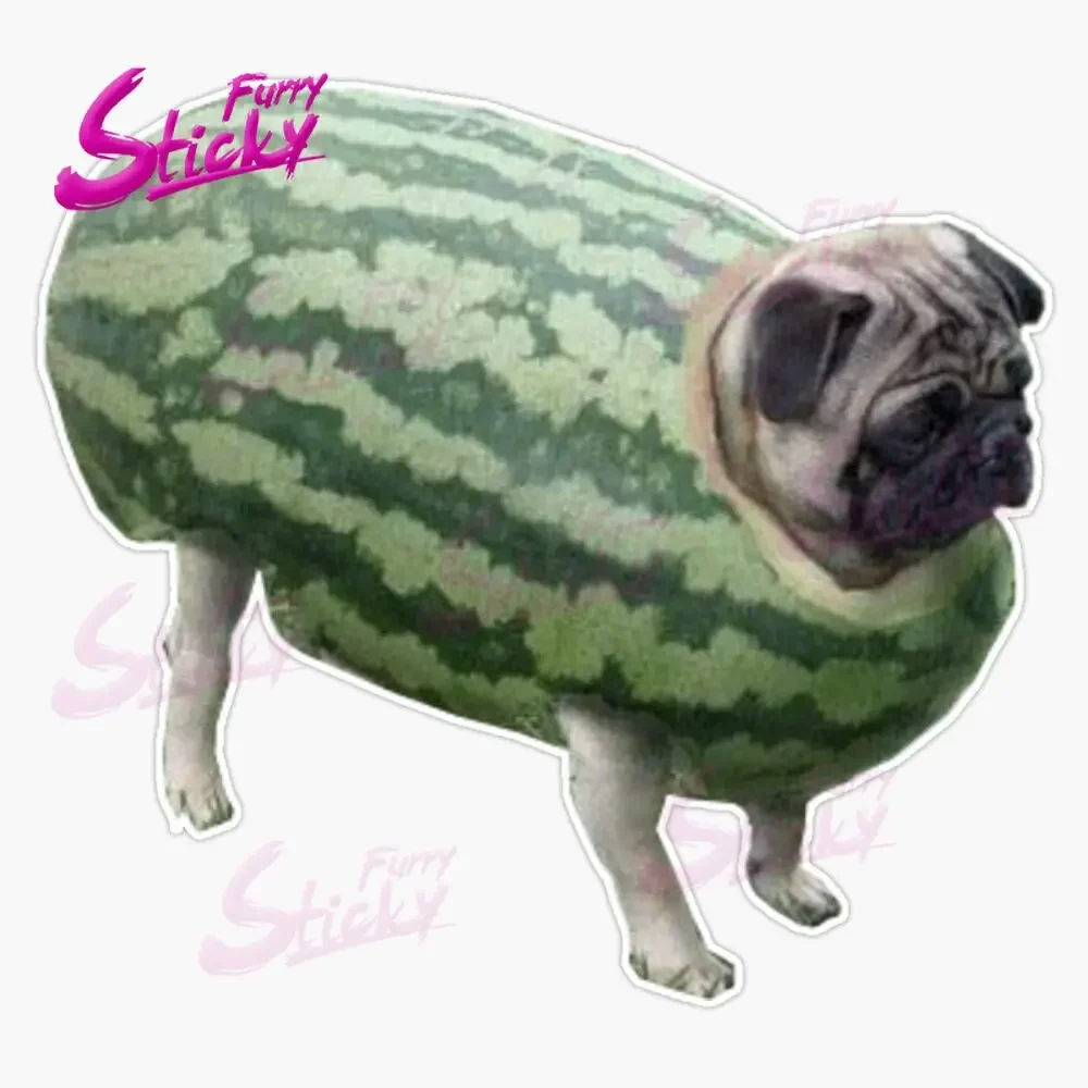 

Funny Funny Pug Spoof Stickers Vinyl Car Stickers - Waterproof Decals for Cars, Trucks, SUVs,Window ,Bumper, Laptop