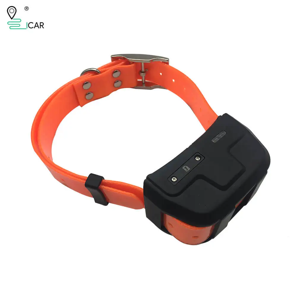 

4G Anti Lost GPS Dog Tracker With Free Tracking System Hunting Dog GPS Collar