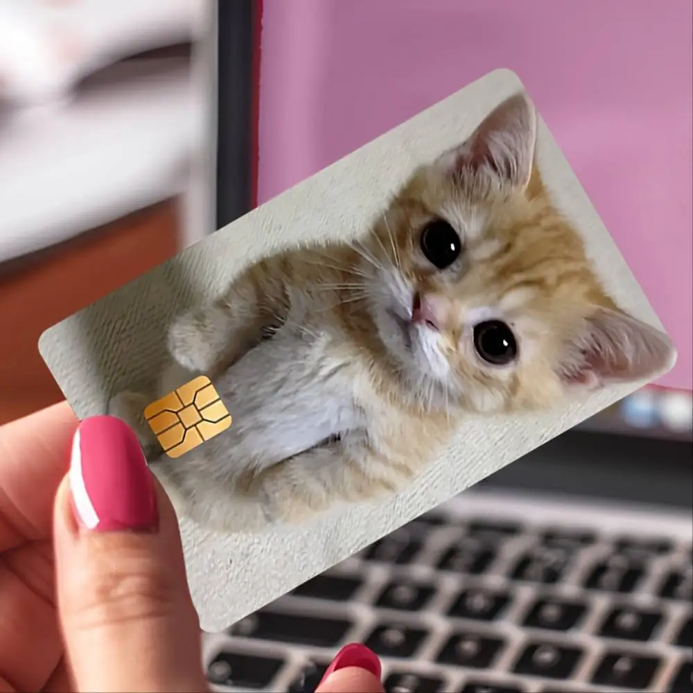 Cute Standing Cat Credit Card Sticker Bubble Free High Quality PVC Decal For EBT Debit Transit Small Chip Cards