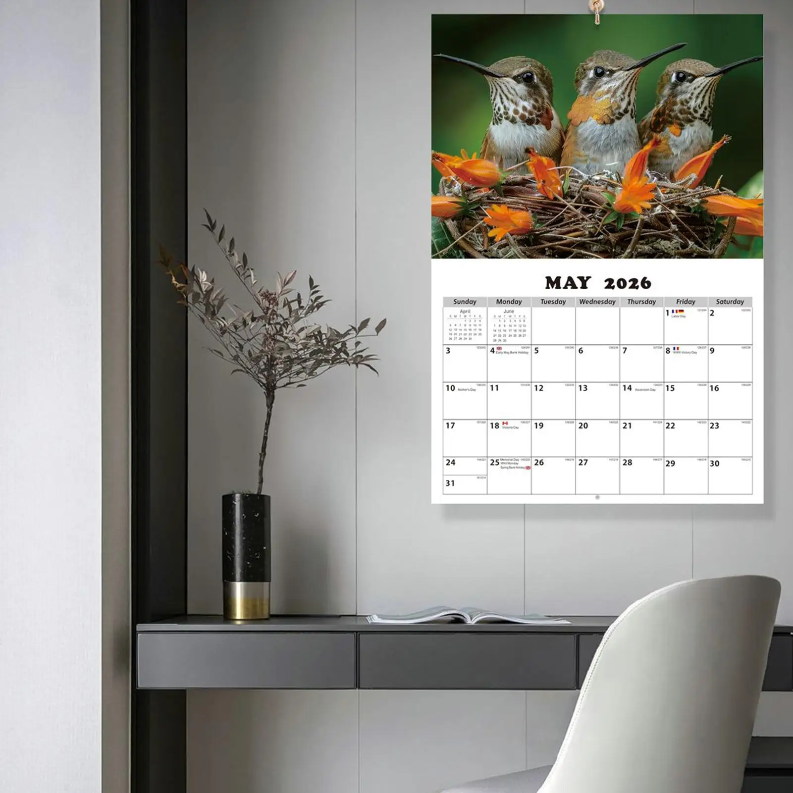 Hummingbird Calendar 2026 13-Month Wall Calendar with Hummingbird Patterns Jan 2026 Jan 2027 Schedule Organizer Planner