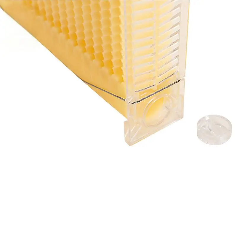 4 Pieces Honeycomb Frame, Suitable for Small Free-Flowing Beehives - Image 5