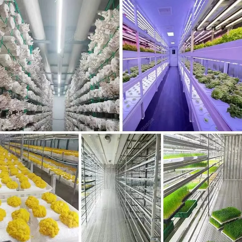 カスタマイズされた20フィート40フィートコンテナ水耕栽培シ - Hydroponic Farming Agriculture のレビューと価格
