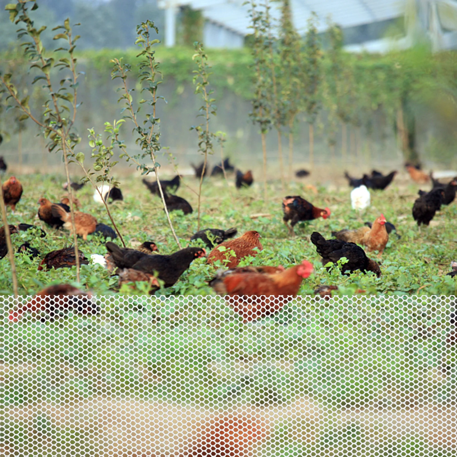 

1 Roll Garden Fence Net Plastic Mesh Fencing For Poultry Chicken Rabbit Animal Barrier Temporary Wire Mesh Screen Multi-Use