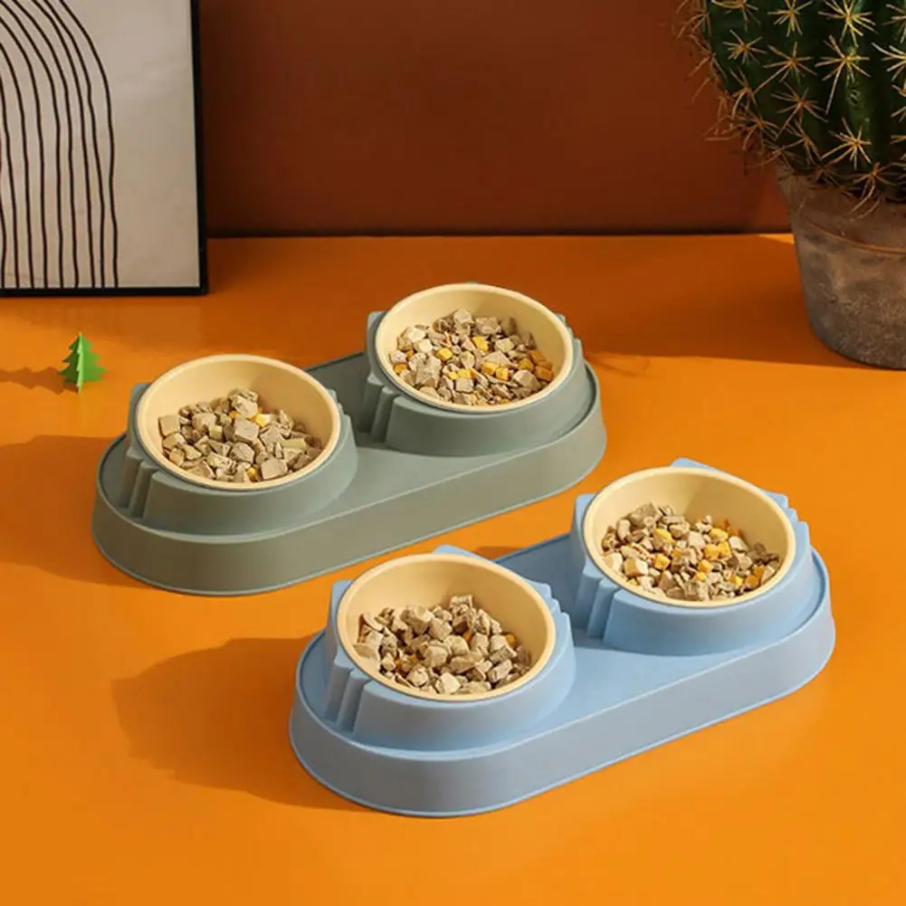 Pet Dish Set Elevated Pet Bowl Set for Dogs Cats Spillproof Cat Feeder with Antislip Base Double Bowls for Food for Kittens