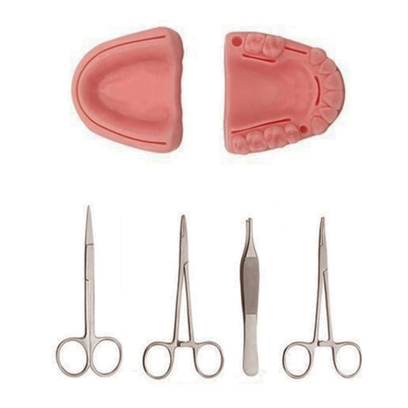 

Silicone Artificial Human Skin Oral Teeth Gum Suture Training Kit Common Types Of Wound Dentist Practice,Training