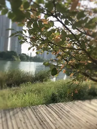 

T-HOBBYT-MOTOR C 7.5x4.6-1 Pairs/pouches Profession Elle Cinematic Fpv Propeller for Cinematic Fpv Drone