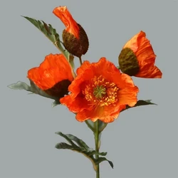 Simulation 4-Head Poppy Flower Yu Meiren Home Living Room Dining Table Decoration Hotel Wedding Artificial Flowers False Plants