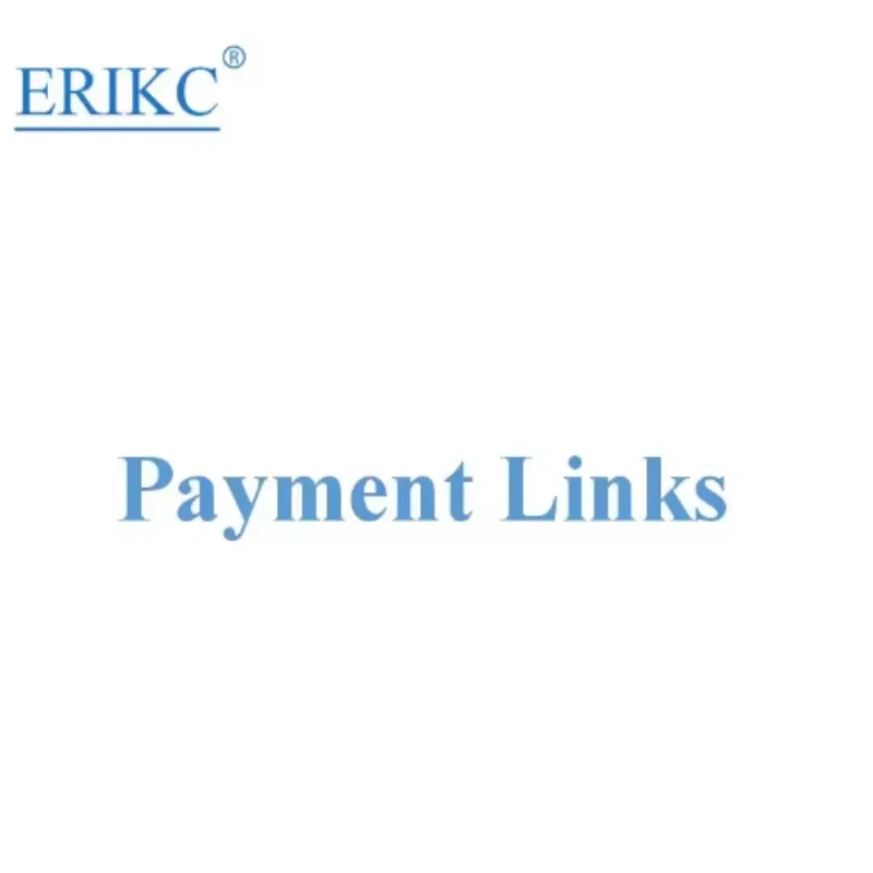 ERIKC Payment Link As We Agreed