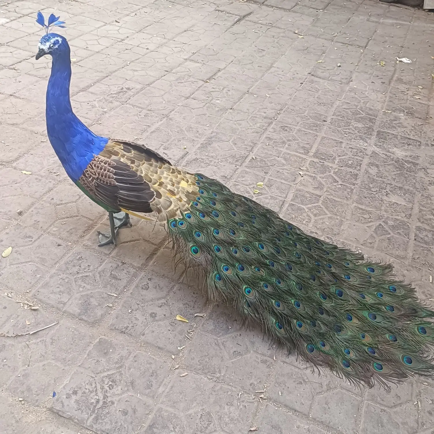 

standing simulation peacock model foam&feather long tail peacock doll about 150cm